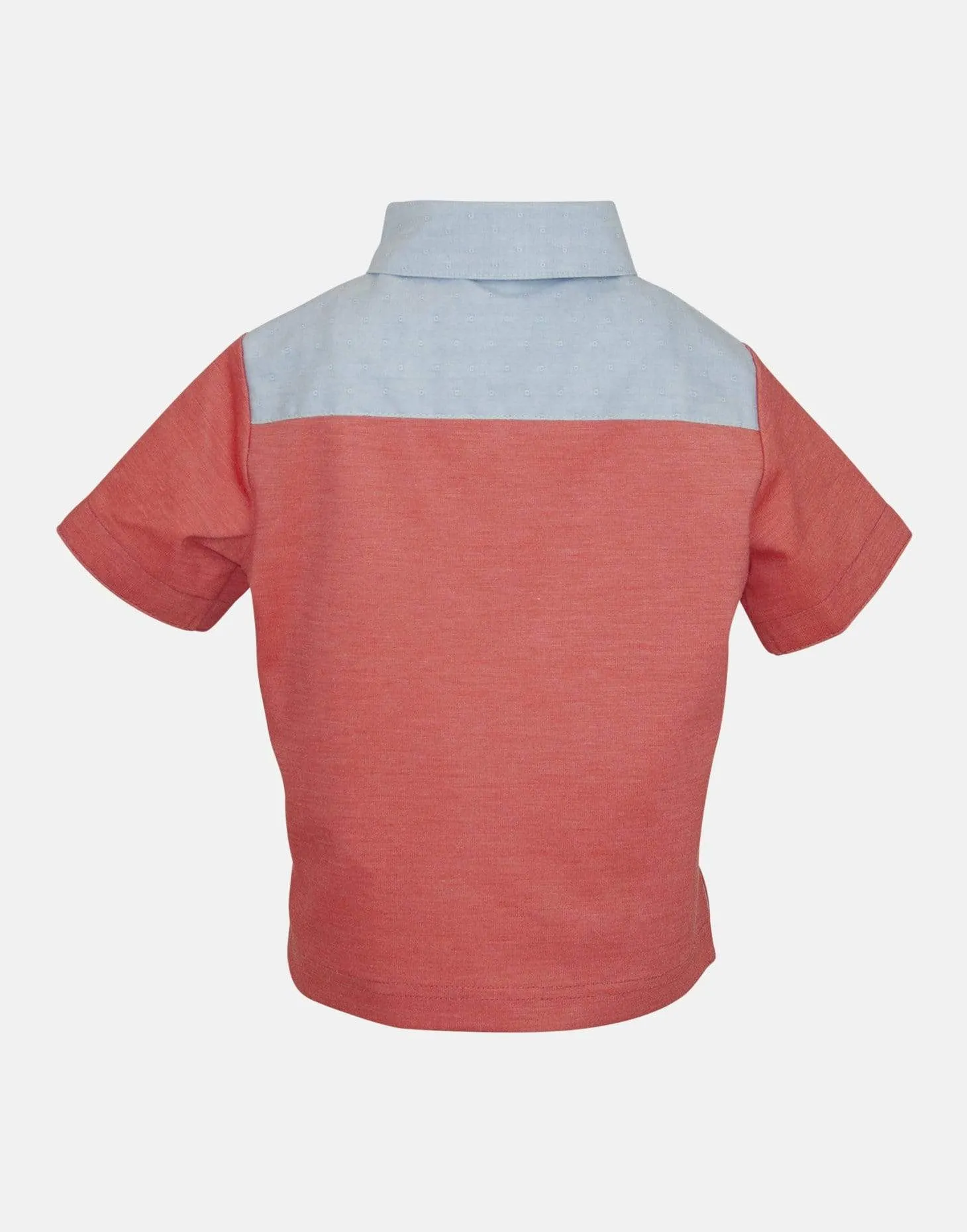 Harlech: Orange coral polo